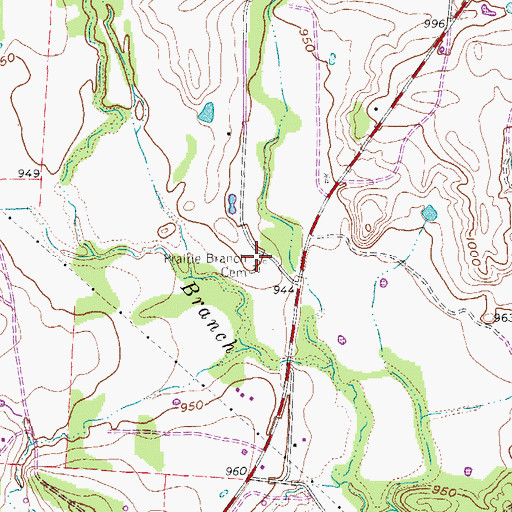 Topographic Map of Prairie Branch Cemetery, TX