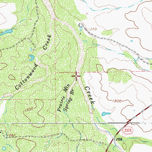 Topographic Map of Prairie Mountain Spring Branch, TX