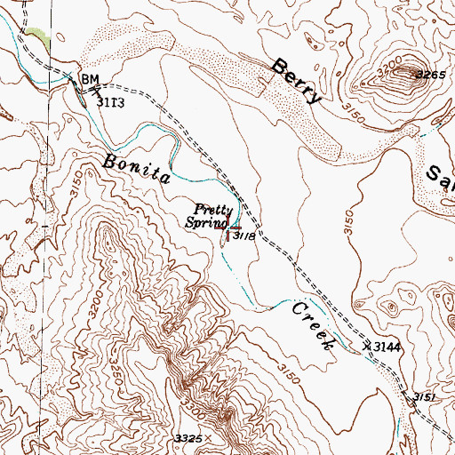 Topographic Map of Pretty Spring, TX