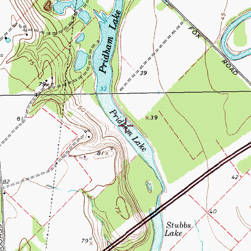 Topographic Map of Pridham Lake, TX