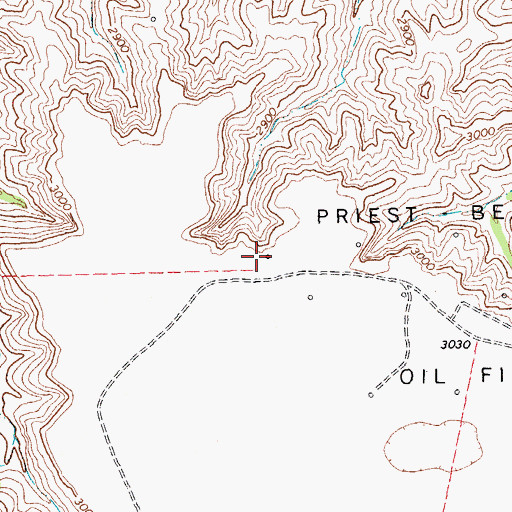 Topographic Map of Priest Beavers Oil Field, TX
