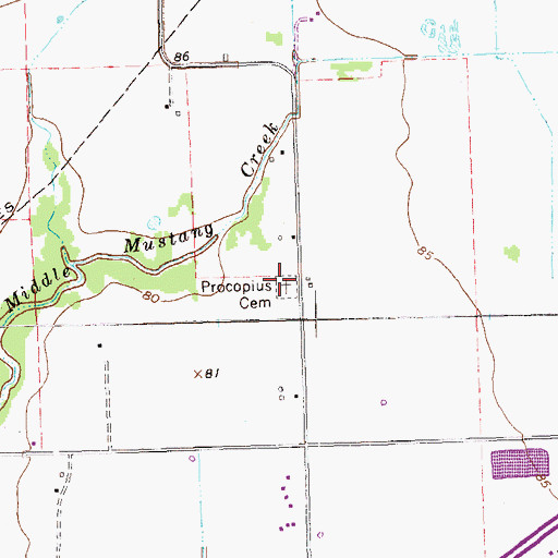 Topographic Map of Procopius Cemetery, TX