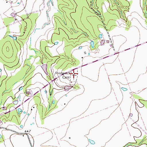 Topographic Map of Prospect Cemetery, TX