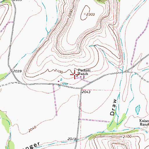 Topographic Map of Puckett Ranch, TX