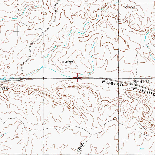 Topographic Map of Puerto Potrillo, TX
