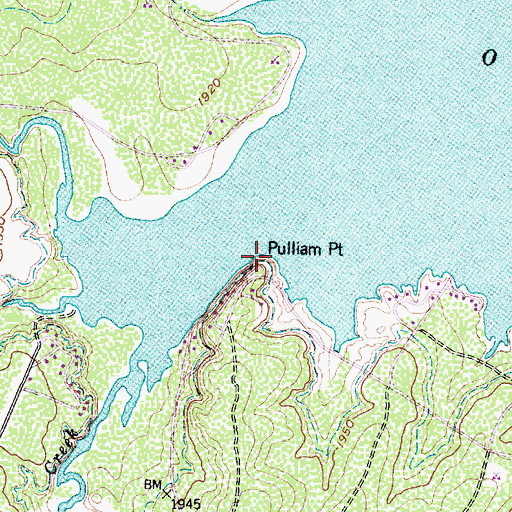 Topographic Map of Pulliam Point, TX