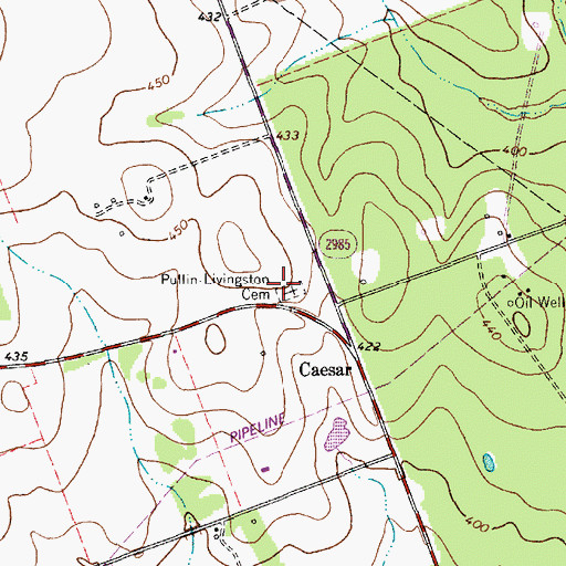 Topographic Map of Pullin-Livingston Cemetery, TX