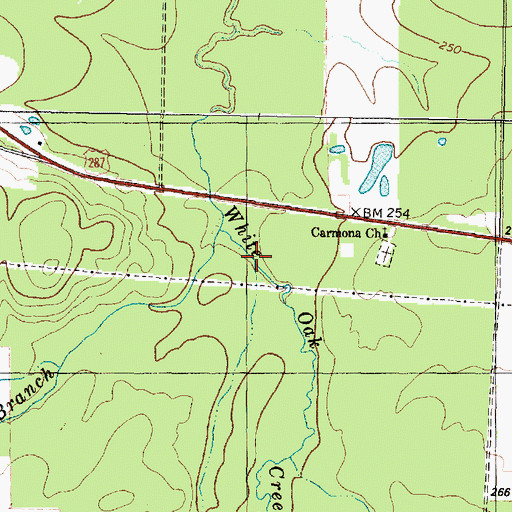 Topographic Map of Pump Branch, TX