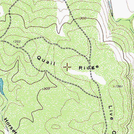 Topographic Map of Quail Ridge, TX
