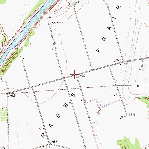 Topographic Map of Rabbs Prairie, TX