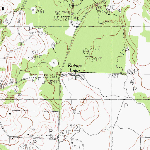 Topographic Map of Raines Lake, TX