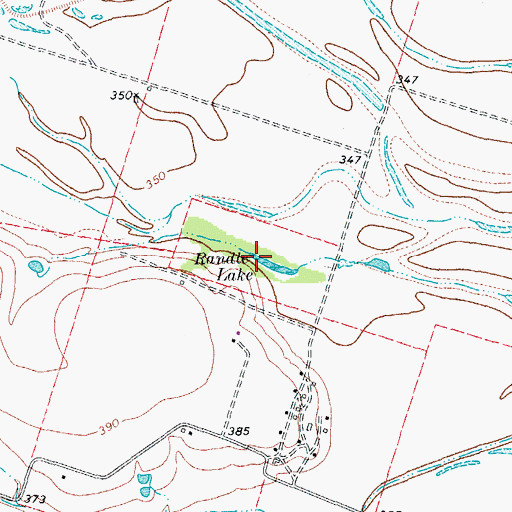 Topographic Map of Randle Lake, TX