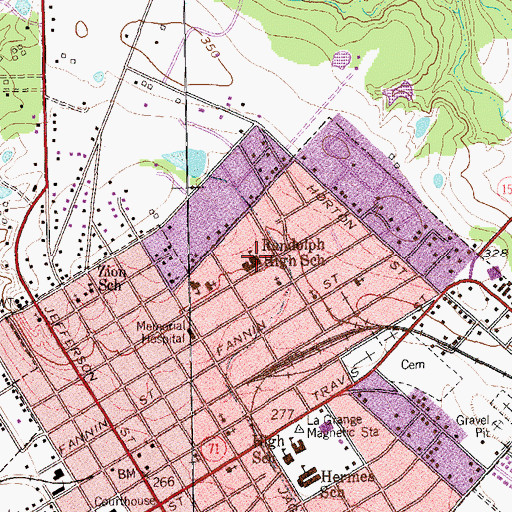 Topographic Map of Randolph High School, TX