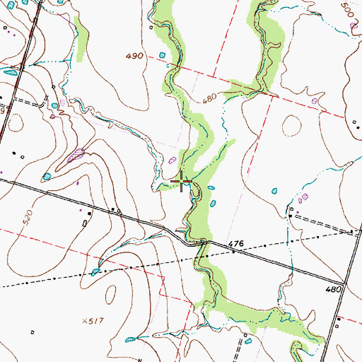 Topographic Map of Ratibor Branch, TX