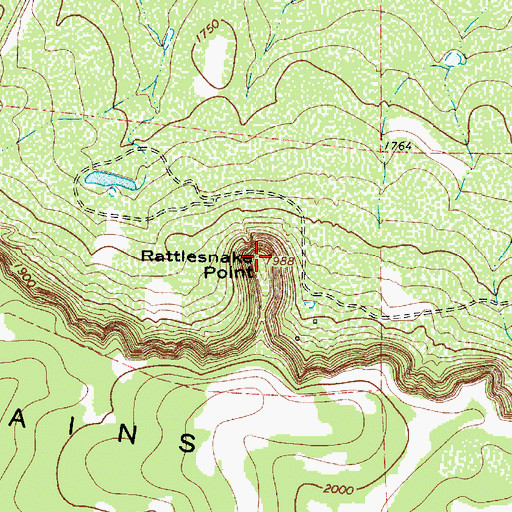 Topographic Map of Rattlesnake Point, TX