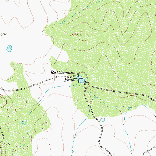 Topographic Map of Rattlesnake Pond, TX