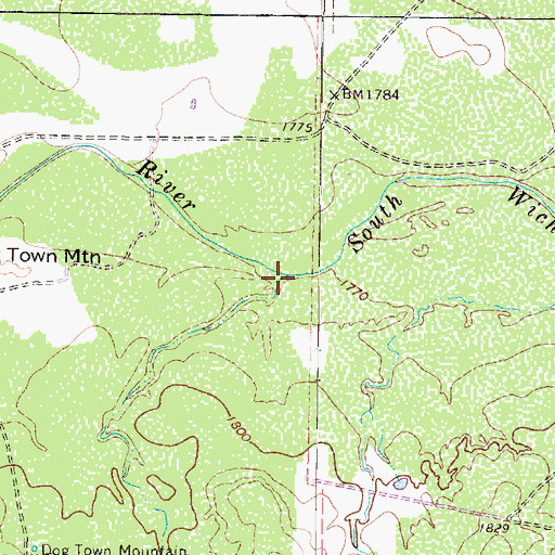 Topographic Map of Ray Canyon, TX