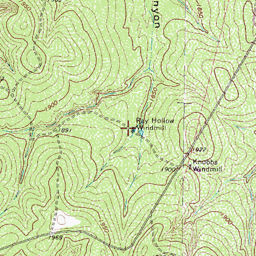 Topographic Map of Ray Hollow Windmill, TX