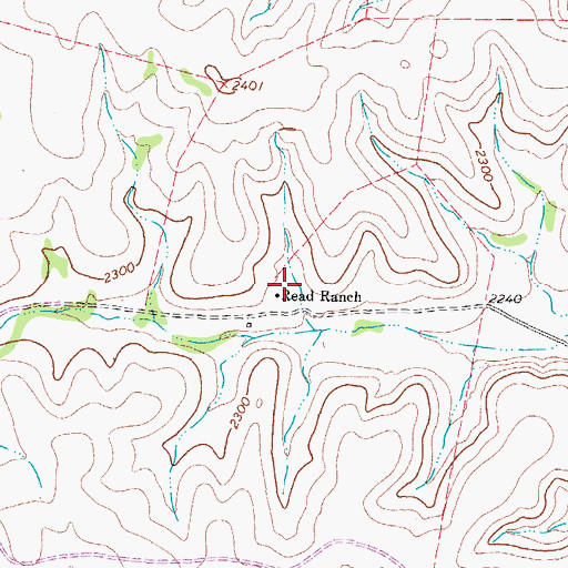 Topographic Map of Read Ranch, TX