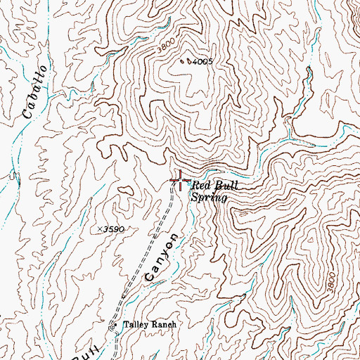 Topographic Map of Red Bull Spring, TX