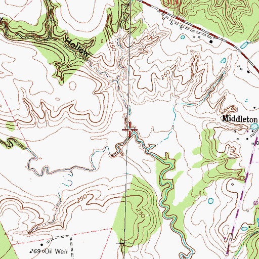 Topographic Map of Red Hollow, TX