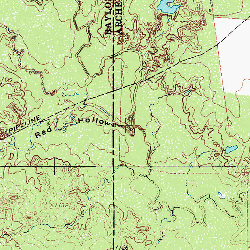 Topographic Map of Red Hollow, TX