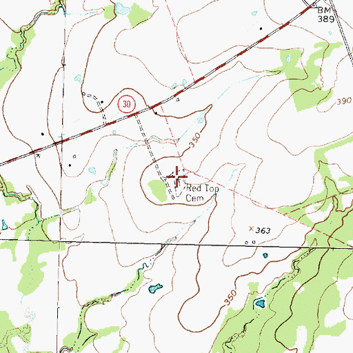 Topographic Map of Red Top Cemetery, TX
