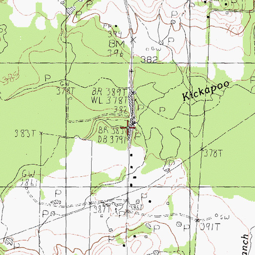 Topographic Map of Reed Branch, TX