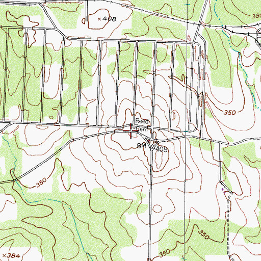 Topographic Map of Reed Cemetery, TX