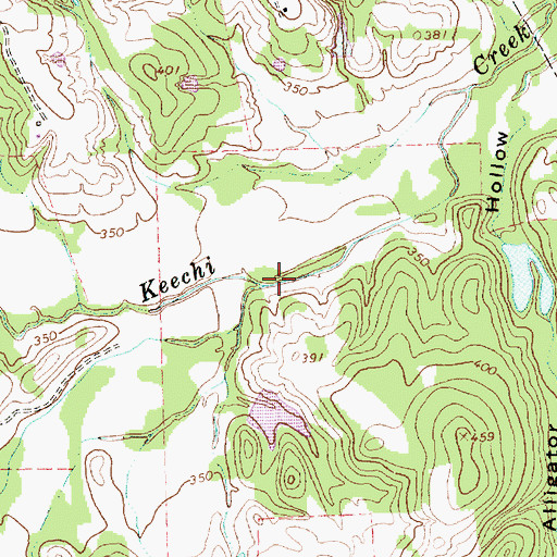 Topographic Map of Reed Creek, TX