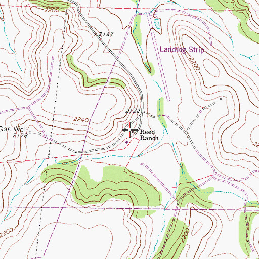 Topographic Map of Reed Ranch, TX