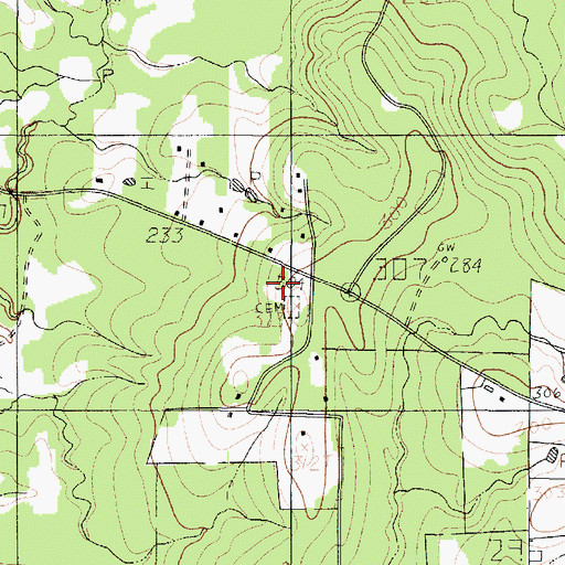 Topographic Map of Reeves Cemetery, TX