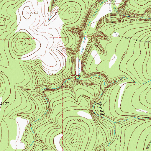 Topographic Map of Reick Draw, TX