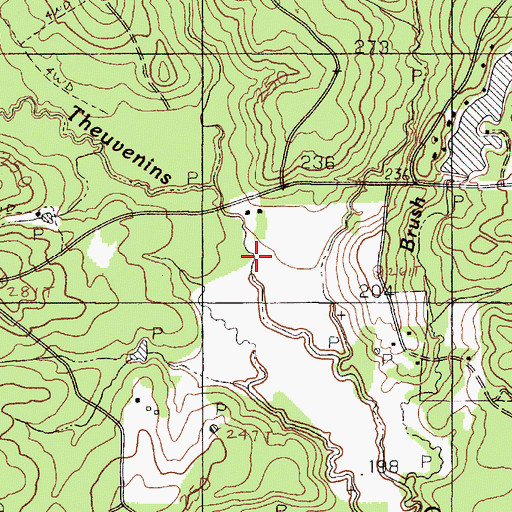 Topographic Map of Reids Branch, TX