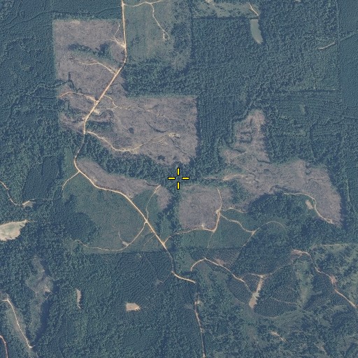 Aerial/Satellite Image of Smiths Ford, AL