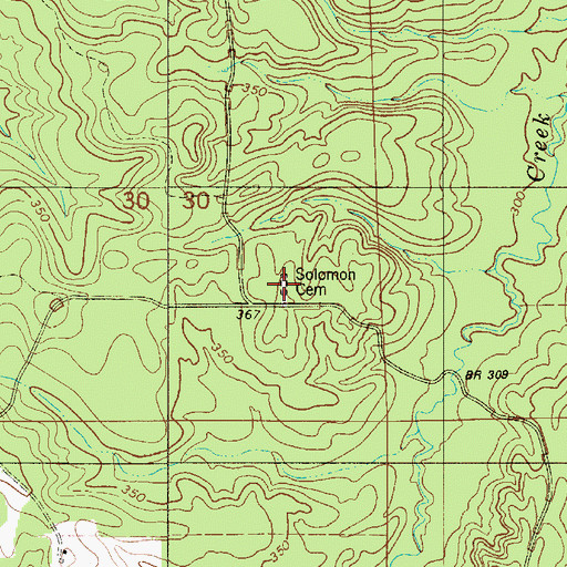 Topographic Map of Solomon Cemetery, AL