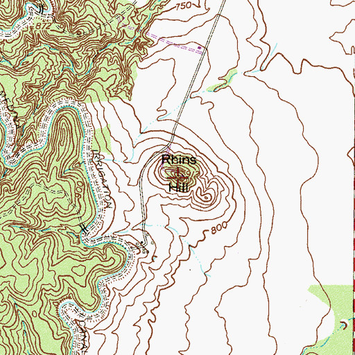Topographic Map of Rhins Hill, TX