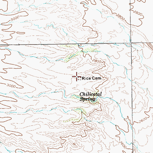 Topographic Map of Rice Cemetery, TX