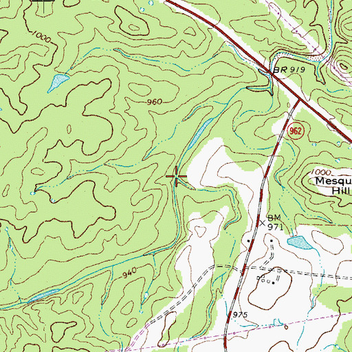 Topographic Map of Richards Branch, TX
