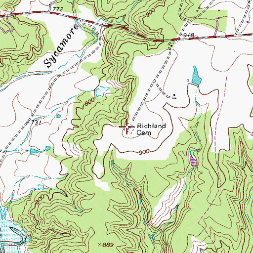 Topographic Map of Richland Cemetery, TX