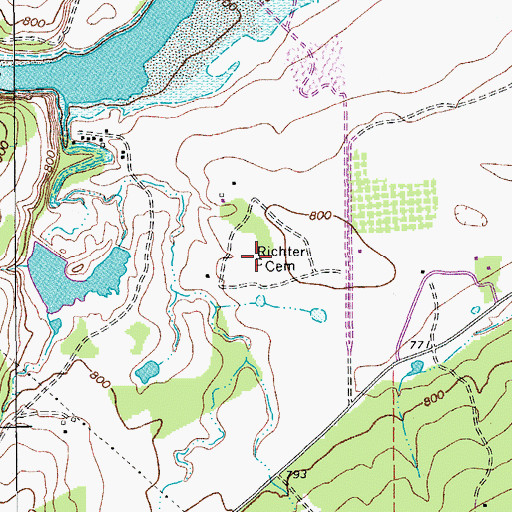 Topographic Map of Richter Cemetery, TX