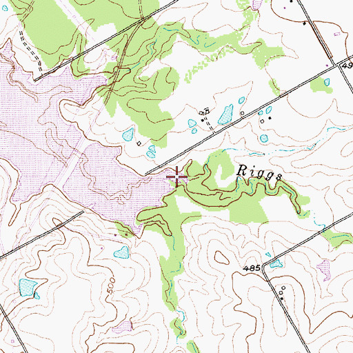 Topographic Map of Riggs Creek, TX
