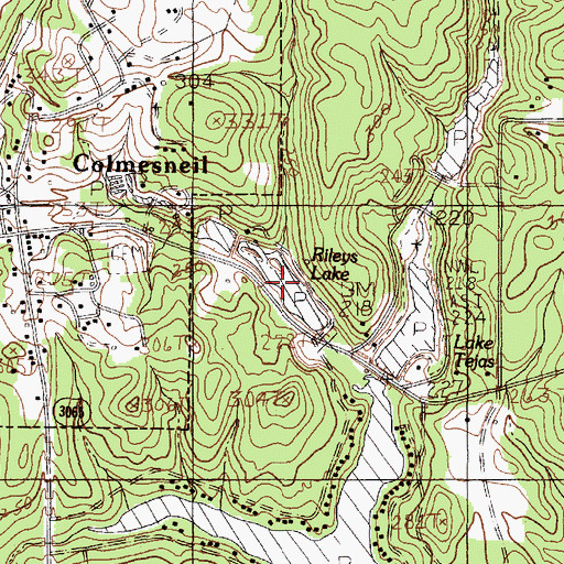Topographic Map of Rileys Lake, TX