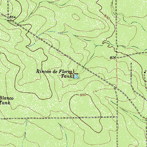 Topographic Map of Rincon de Flores Tank, TX
