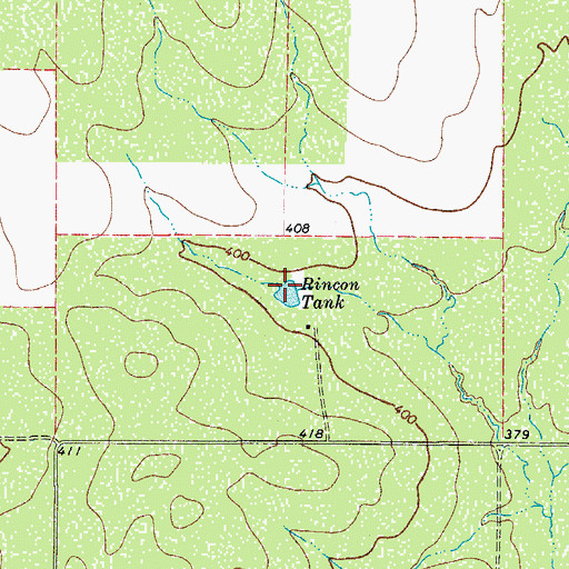 Topographic Map of Rincon Tank, TX