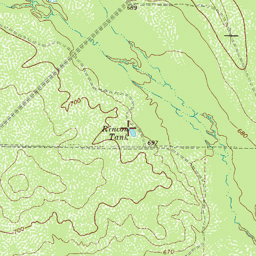 Topographic Map of Rincon Tank, TX