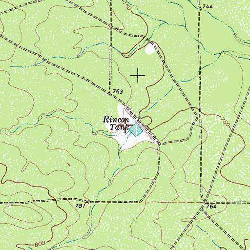 Topographic Map of Rincon Tank, TX