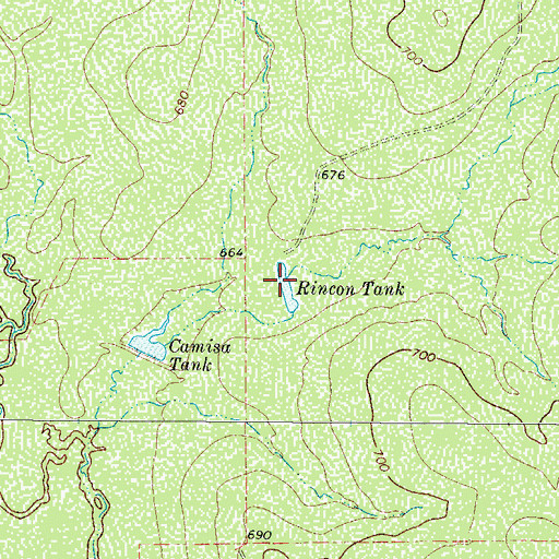Topographic Map of Rincon Tank, TX