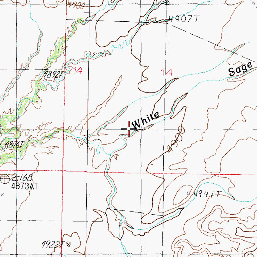 Topographic Map of White Sage Wash, AZ