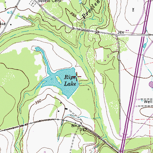 Topographic Map of Rips Lake, TX